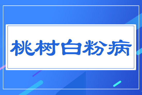 桃樹白粉病