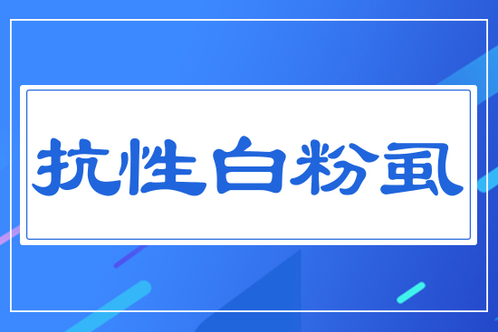 抗性白粉虱