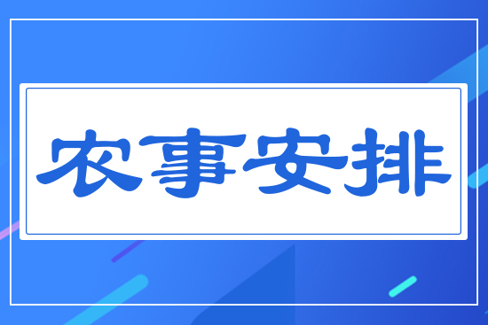 農(nóng)事安排