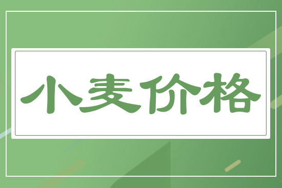 2024年10月29日國(guó)內(nèi)小麥價(jià)格行情參考