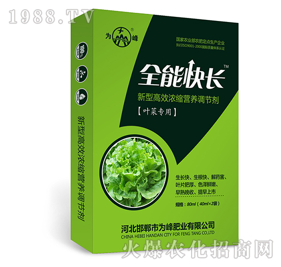 全能快長（葉菜專用）-新型高效濃縮營養(yǎng)調節(jié)劑-為峰