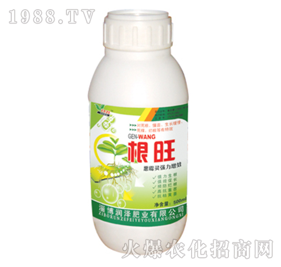 500ml-(rn)ɷʘI(y)