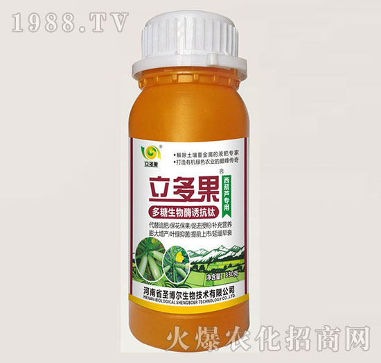 西葫蘆專用葉面肥-多糖生物酶誘抗肽-立多果-圣博爾