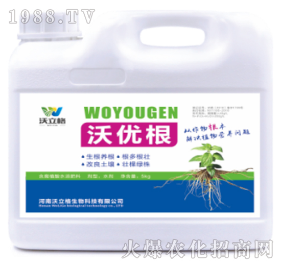 生根型含腐植酸水溶肥-沃優(yōu)根-沃立格