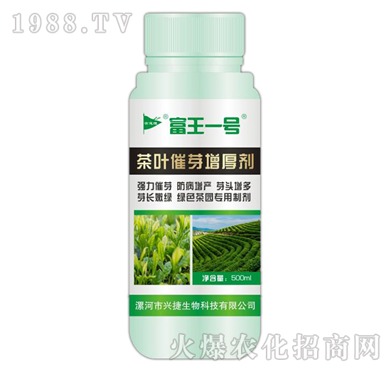 茶葉催芽增厚劑-富王一號-興捷生物