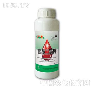 (yng)-500ml