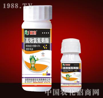 銳普農(nóng)化-薊功-高效氯氰菊酯