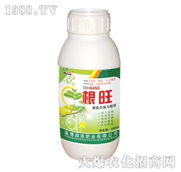 500ml-(rn)ɷʘI(y)