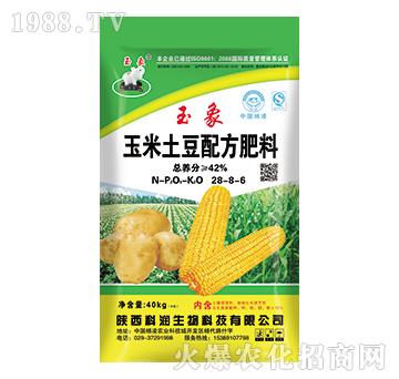 玉米土豆配方肥料28-8-6-科潤生物