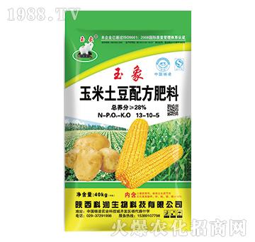 玉米土豆配方肥料13-10-5-科潤生物