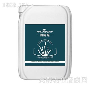 ALGAE POWER ENZYME-瀚諾唯-儒佳豐