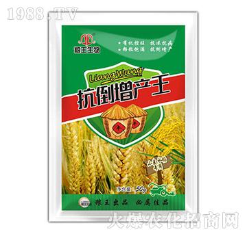 小麥水稻專用抗倒增產(chǎn)王-糧王生物