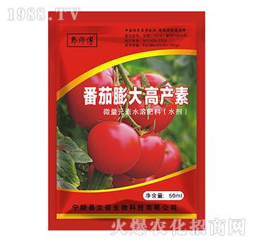 番茄膨大高產(chǎn)素-郭師傅-立信生物