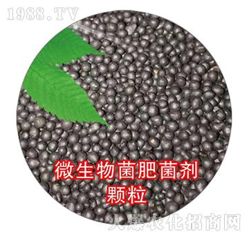 微生物菌肥菌劑顆粒-嘉盛中農(nóng)