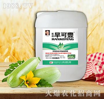 旱可豐西葫蘆10kg