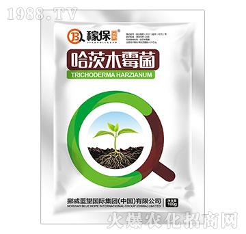 哈茨木霉菌-稼保傳奇-藍(lán)望