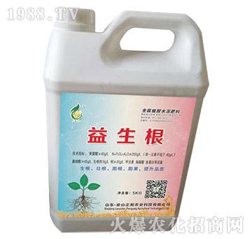 含腐植酸水溶肥料-益生根-正陽(yáng)農(nóng)業(yè)