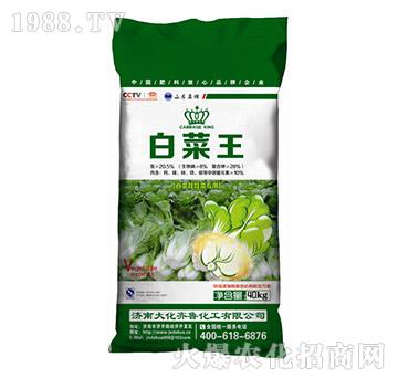 白菜娃娃菜專用肥-白菜王-大化齊魯