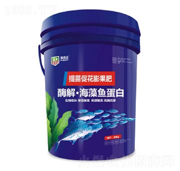 提苗促花膨果肥-酶解海藻魚(yú)蛋白-瑞倍達(dá)