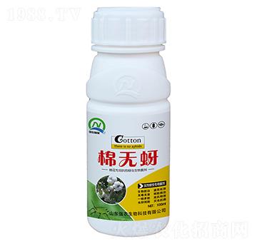 抗性蚜蟲專用菌劑-棉無蚜-強農(nóng)生物