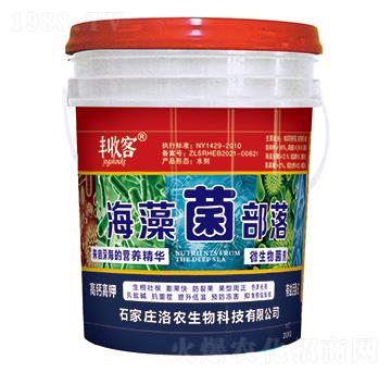 海藻菌部落-豐收客-洛農(nóng)生物