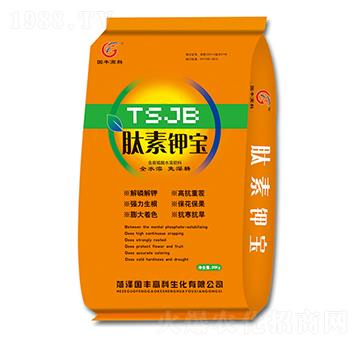 含腐植酸水溶肥料-肽素鉀寶-國豐高科