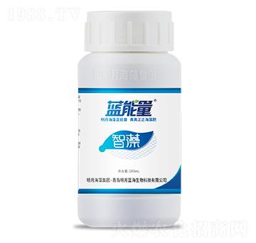 200ml有機(jī)水溶肥料-智藻-藍(lán)能量