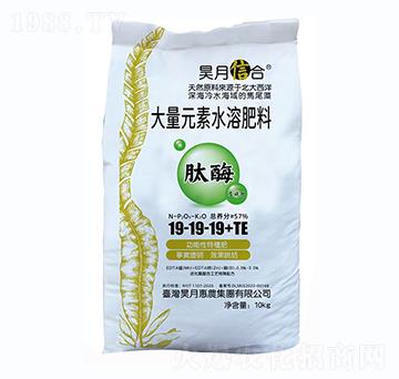 大量元素水溶肥料19-19-19+TE-昊月惠農