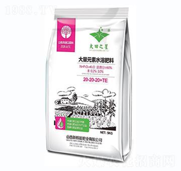 5kg大量元素水溶肥料20-20-20+TE-大田之星-新核能