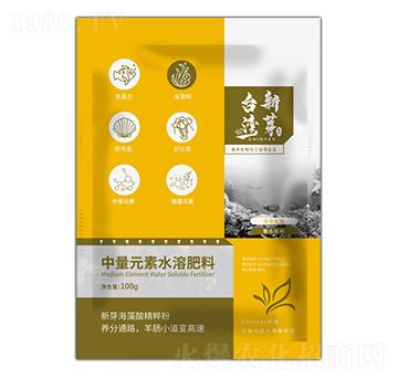 中量元素水溶肥料-新芽海藻酸精粹粉-臺(tái)灣新芽