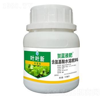 葉菜類含氨基酸水溶肥料-葉葉新-賀藍(lán)液肥-創(chuàng)福